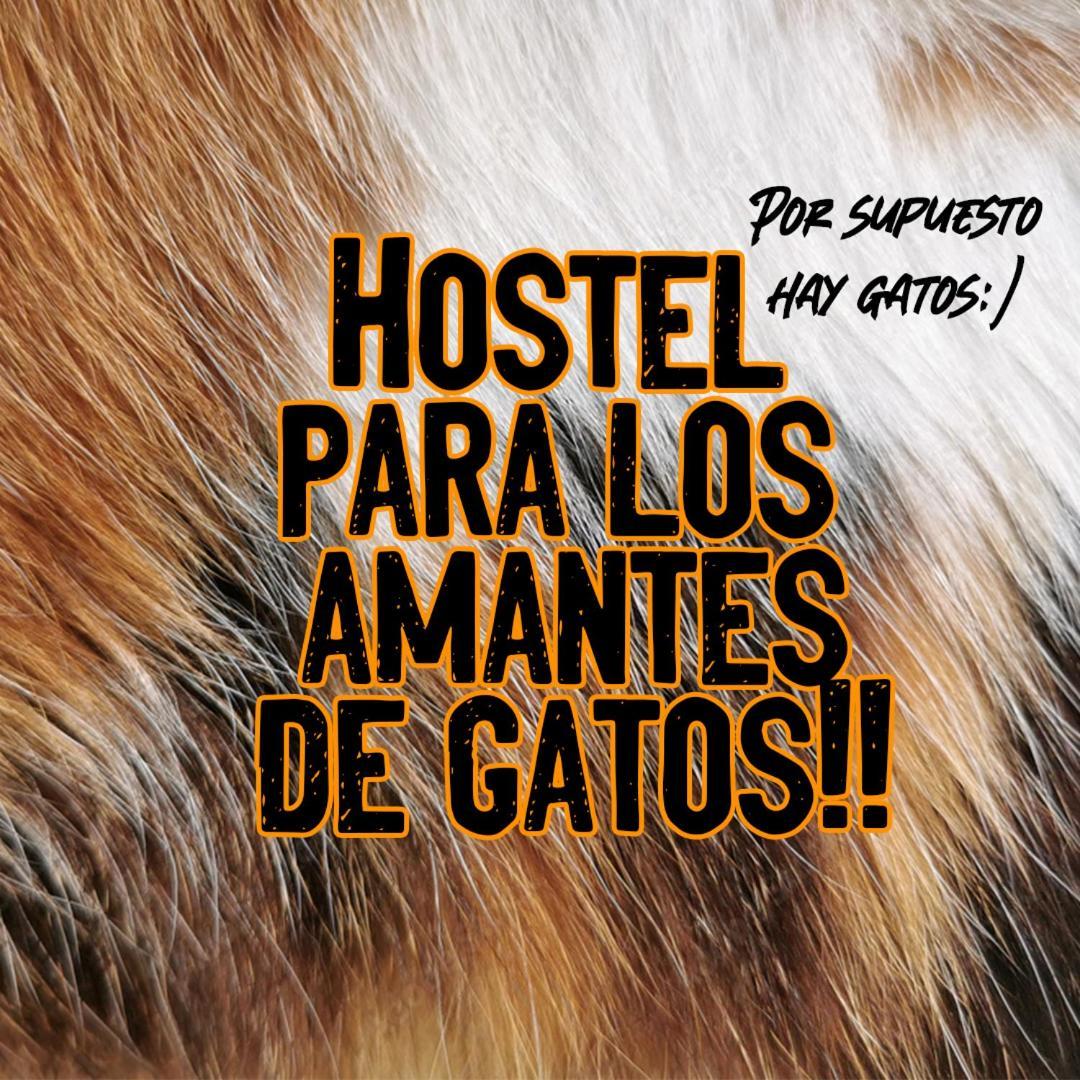 Posada De Los Gatos Bed & Breakfast Пуерто Наталес Екстериор снимка